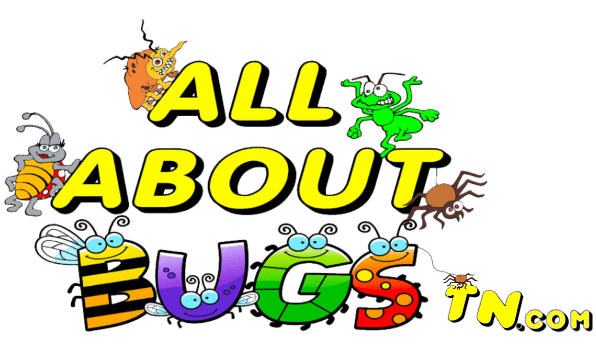 All About Bugs TN Pest & Termite Control