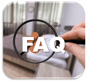 Aprehend Bed Bug Prevention and Elimination Experts, All About Bugs