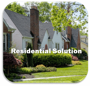 Aprehend Bed Bug Prevention and Elimination Experts, All About Bugs