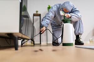 professional pest control