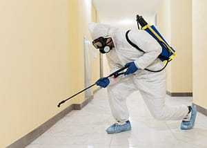 Hidden Pest Problems