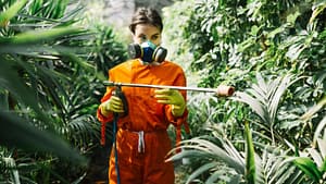 Pest Prevention