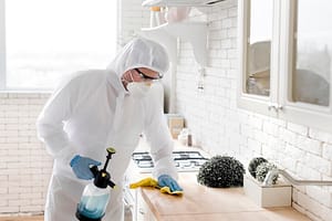 Tackling Summer Ants