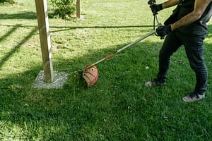 lawn cleaning