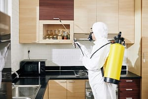 Pest Control