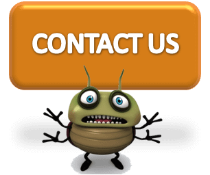 All About Bugs Pest & Termite Control