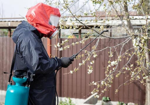 Spring Pest Prevention