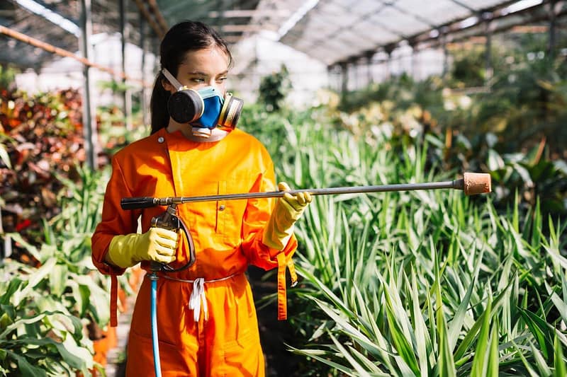 avoid Pest Problems