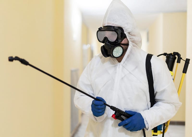 Pest Prevention for Sevierville Homes