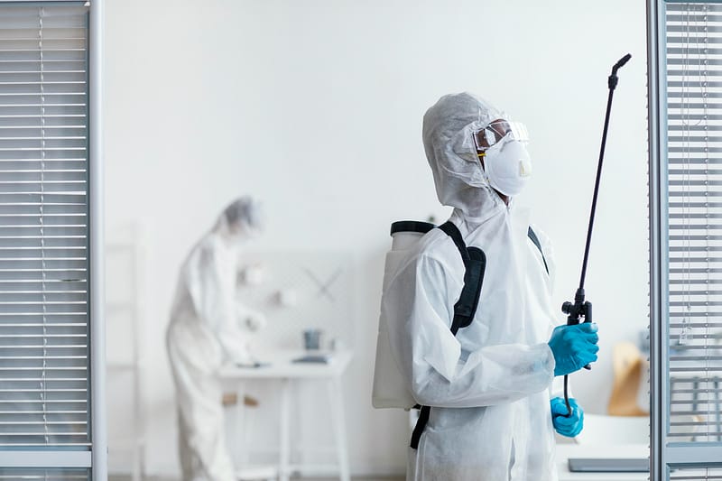 Pest Control Solutions