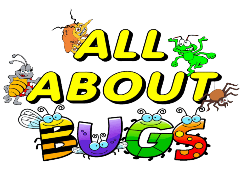 All About Bugs Pest & Termite Control