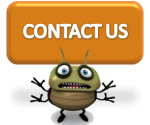 All About Bugs Pest & Termite Control
