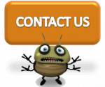 Contact All About Bugs TN for a Free Quote